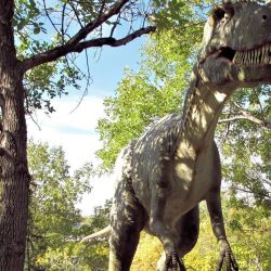 Los restos pertenecen a un dinosaurio que vivió hace 125 millones de años.