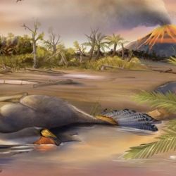 Los restos fosilizados del Caudipteryx fueron hallados en el interior de un yacimiento paleontológico ubicado en el nordeste de China