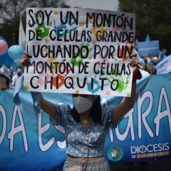 Una mujer sostiene un cartel durante una marcha de la asociación ProVida contra la legalización del aborto, en su camino hacia el Paseo Reforma, en la Ciudad de México. | Foto:RODRIGO ARANGUA / AFP