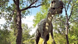 Los restos pertenecen a un dinosaurio que vivió hace 125 millones de años.