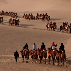 Turistas montan camellos en el área escénica del Manantial Luna Creciente en la Montaña Mingsha, en la provincia de Gansu, en el noroeste de China. | Foto:Xinhua/Zhang Xiaoliang