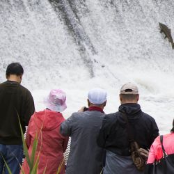 Personas observan una trucha saltando una escala de peces en Port Hope para migrar a las zonas de desove, en el río Ganaraska, Ontario, Canadá. | Foto:Xinhua/Zou Zheng