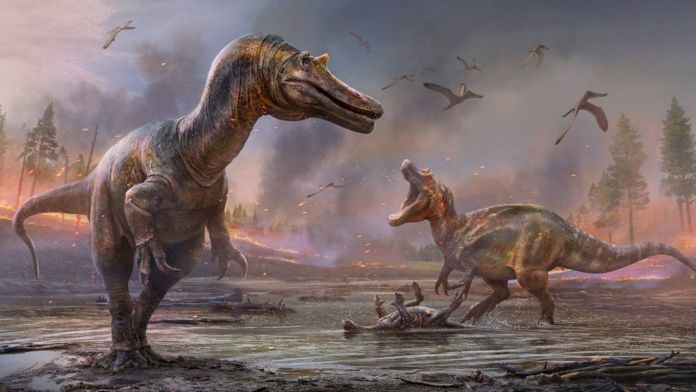 tiranosaurio rex evolucion antes y despues