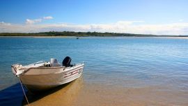 Algunos lo han bautizado con nombres extraños, como “Plata”.