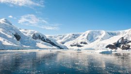 El alarmante fenómeno contrasta con las tendencias en el resto del mundo