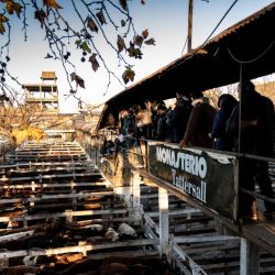 Buyers inspect cattle at the 84-acre site at Liniers, which is a piece of rural, traditional Argentina set within the limits of a capital city that's modernising itself.