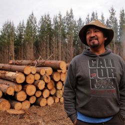 Indigenous leader of the Mapuche radical group Coordinadora Arauco Malleco (CAM) Juan Pichùn stands next to freshly felled trees during the illegal occupation of the lands of a forestry company in Traiguen, Araucanía Region, Chile, on September 28, 2021. Pichùn, who doubts that a new constitution will resolve the Mapuche people historic demands for land and self-determination, took "territorial control" of the place along with 30 members of CAM, and cut down dozens of trees that they would later sell. 