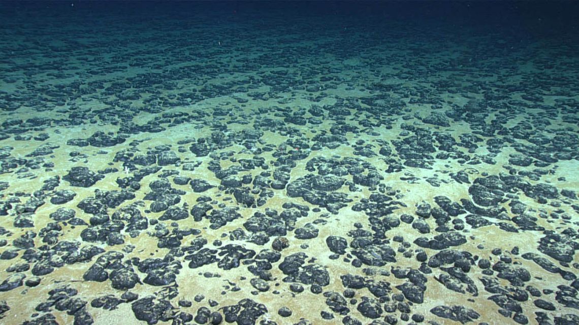 Image of the deep seabed floor, showing polymetallic nodules