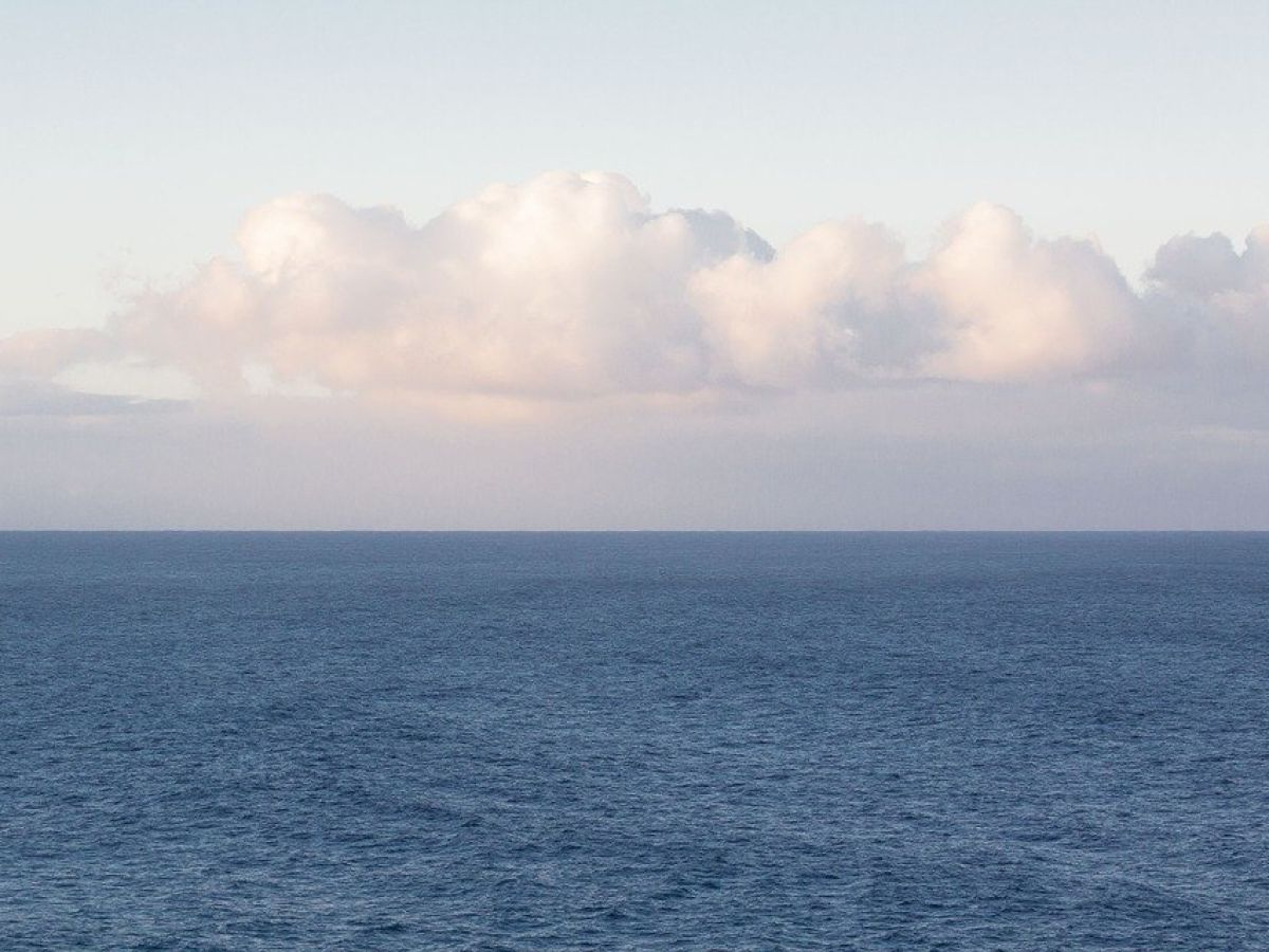 RadioProfile |  The old Teo