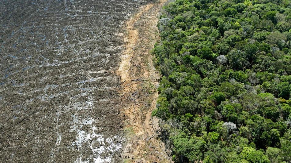 deforestación en el Amazonas 20211015