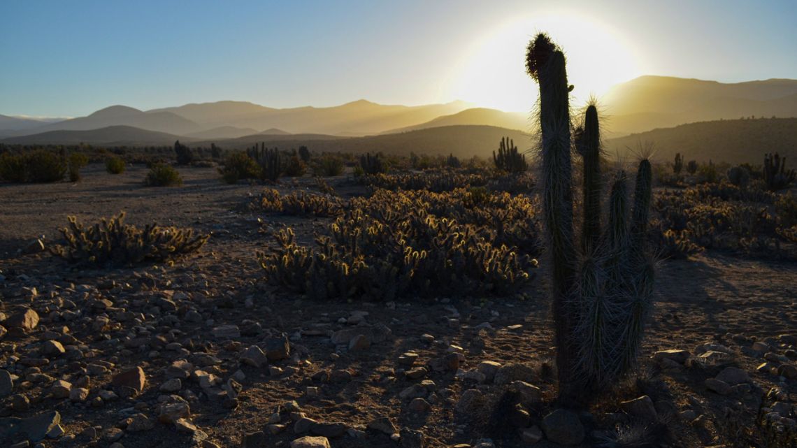 View of the Atacama desert, near the place where the Dominga mining project will be built, in La Higuera, Chile, on October 5, 2021. 