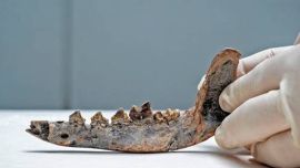 Es la primera evidencia humana y de perros domésticos en Costa Rica de un período bastante anterior al que hasta ahora se tenía conocimiento.