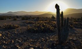 Atacama desert Dominga mining project