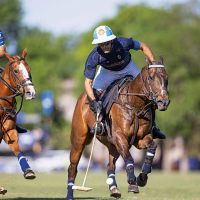 TORRES ZAVALETA, EL HEROE DE ELLERSTINA EN TORTUGAS