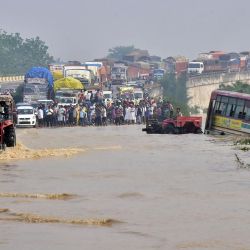 En la foto se ven viajeros en un paso elevado en una carretera nacional inundada después de que el río Kosi se desbordara tras las fuertes lluvias cerca de Rampur, en la India. | Foto:AFP