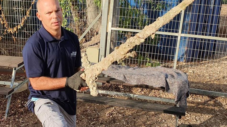 Un buzo israelí encontró una espada de un cruzado de hace 900 años en el fondo del mar Mediterráneo