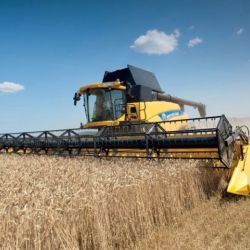 La Bolsa de Cereales de Buenos Aire confirmó que a la fecha lleva cosechado solamente 3% del área apta.