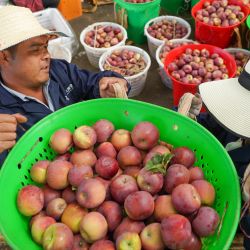 Imagen de aldeanos trasladando manzanas en el poblado de Qingde del distrito de Xiangcheng, en el suroeste de China. | Foto:Xinhua/Xu Bingjie