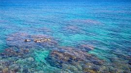 2021: No time to Die, la película de James Bond, se rodó en parte en la preciosa Goldeneye de Jamaica.