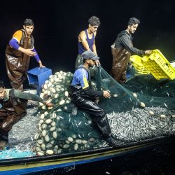 Pescadores palestinos descargan sus capturas de un barco, a su regreso a la costa de la ciudad de Gaza. | Foto:MAHMUD HAMS / AFP