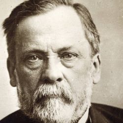 El 26 de octubre de 1885, Louis Pasteur presentó ante la Academia de Ciencia en París su experiencia en el tratamiento de la rabia.
