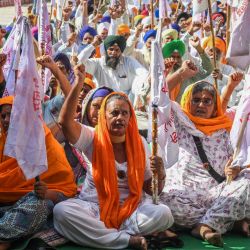 Los agricultores gritan consignas durante una protesta contra las reformas agrícolas del Gobierno Central, en Amritsar. | Foto:NARINDER NANU / AFP