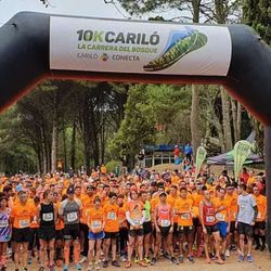 La carrera se realizará el sábado 30 de octubre a partir de las 14, en el Balneario Divisadero, Acacia y la playa, en Cariló. 