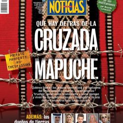 Tapa Nº 2340: Qué hay detrás de la cruzada Mapuche | Foto:Pablo Temes