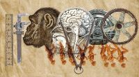  20211031_evolution_evolucion_temes_g