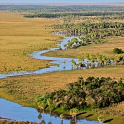 Las nuevas tierras fueron cedidas por el gobierno correntino y por Fundación Rewilding Argentina.