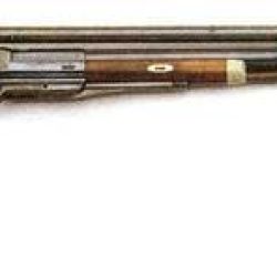 Berdan se inclinó por hacer un pedido de 750 unidades del rifle Springfield 1855.