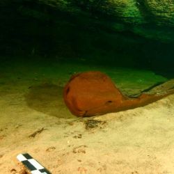 La milenaria canoa se encontraba en perfecto estado de conservación pese al paso del tiempo.A