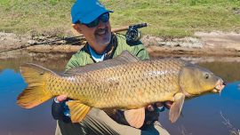 Sorprende que haya grandes carpas, como este ejemplar de unos 7 kilos, en pequeños cursos de agua. Luchas épicas en pequeñas estructuras.