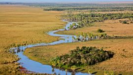 Las nuevas tierras fueron cedidas por el gobierno correntino y por Fundación Rewilding Argentina.