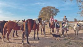 Más que la laguna, en Miramar de Anseluza se pueden hacer cabalgatas y comer carnes exóticas.
