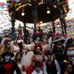 Personas vestidas de Catrinas participan en la primera edición del "Festival hasta que la muerte nos amarre" en el Día de Muertos, en Guadalajara, México. | Foto:ULISES RUIZ / AFP