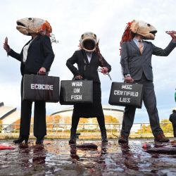 Activistas de Ocean Rebellion realizan una protesta contra la pesca cerca del Scottish Event Campus en Glasgow, Escocia. | Foto:ANDY BUCHANAN / AFP