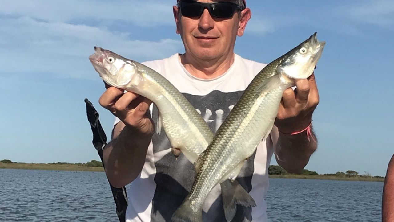 Giro De La Barra De Pesca Con El Cierre De La Línea Arco De Pesca