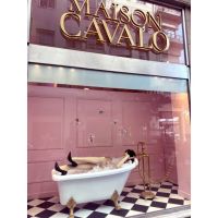 Maison Cavalo