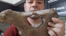Sorprendente: un veterinario descubrió restos fósiles mientras pescaba en el río Salado