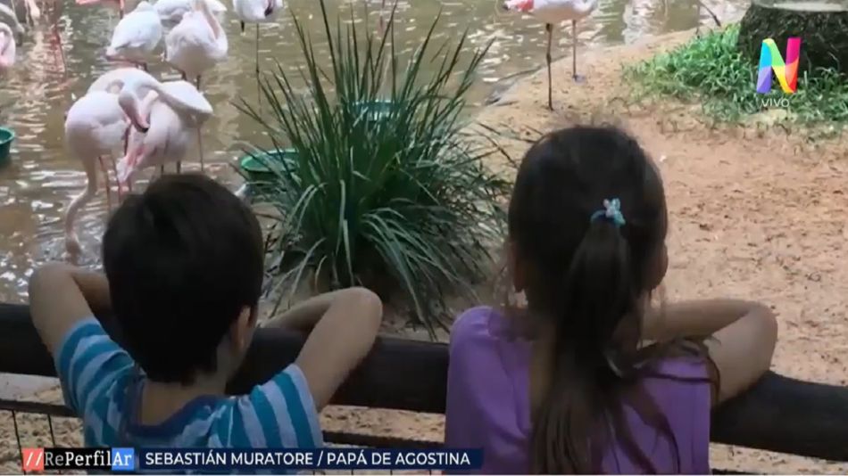 Infancias trans: el desafío de padres y madres