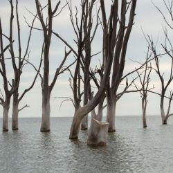 El 10 de noviembre de 1985, Se inundó, bajo las aguas del Lago Epecuén, el centro turístico bonaerense Villa Epecuén