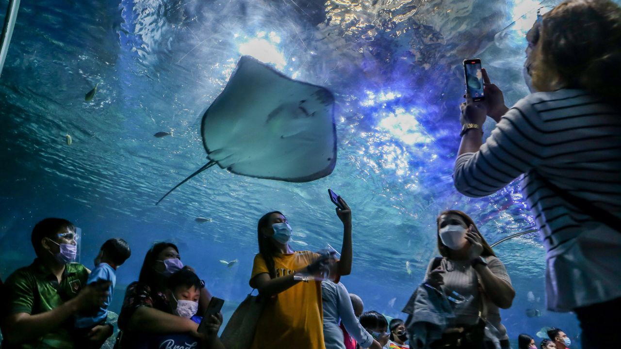 Personas observan las atracciones submarinas en el Parque Oceánico de Manila en medio de la pandemia de la COVID-19, en Manila, Filipinas. | Foto:Xinhua/Rouelle Umali