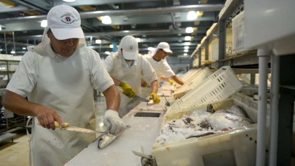 Industria pesquera