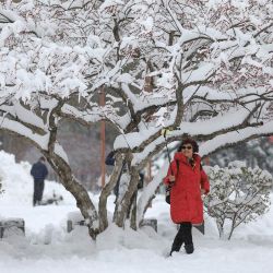 Una mujer se toma un selfie durante una nevada en Shenyang, en la provincia nororiental china de Liaoning. | Foto:AFP