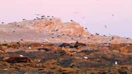 El proyecto de Ley fue aprobado por el total de los legisladores presentes.