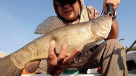 En la modalidad bait cast se utiliza el multifilamento de 12, muy fino y el líder, que tiene que ser muy corto, de 7 u 8 cm.