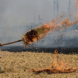 Un agricultor quema los rastrojos de paja después de cosechar un cultivo de arroz en un campo en las afueras de Amritsar, India. | Foto:NARINDER NANU / AFP
