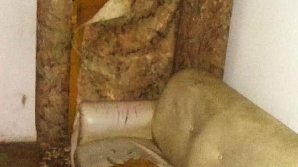 mujer vive atrincherada en Rosario 20211110