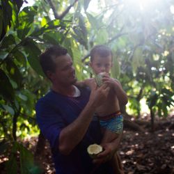 Farmer Edmilson Rodrigues, 35, gives cocoa to his son Thomas, 2, inside one of their cocoa plantations at the Boa Esperanca ranch, located at the Vila Tancredo Neves, city of São Félix do Xingu, Pará state, Brazil, on September 21, 2021.